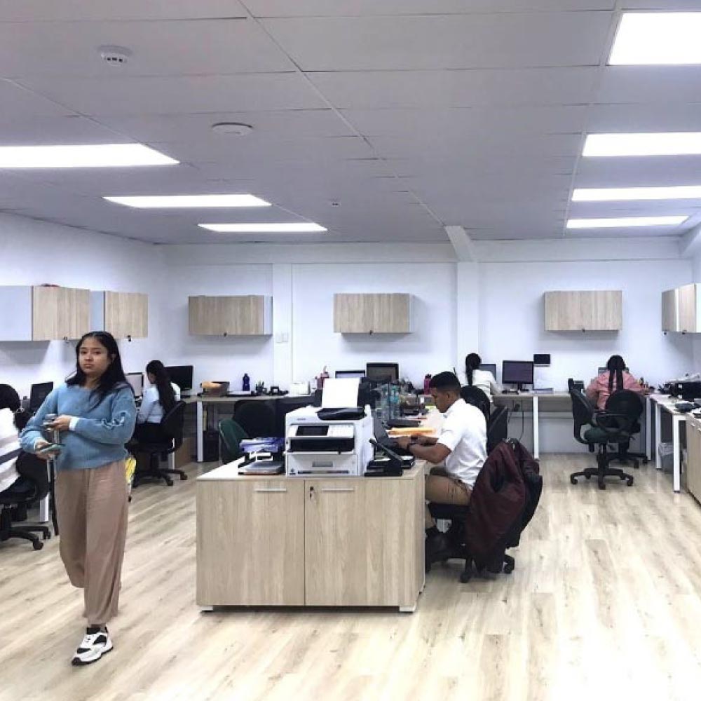 Proyecto oficinas Alfafresh Proyecto alfafresh